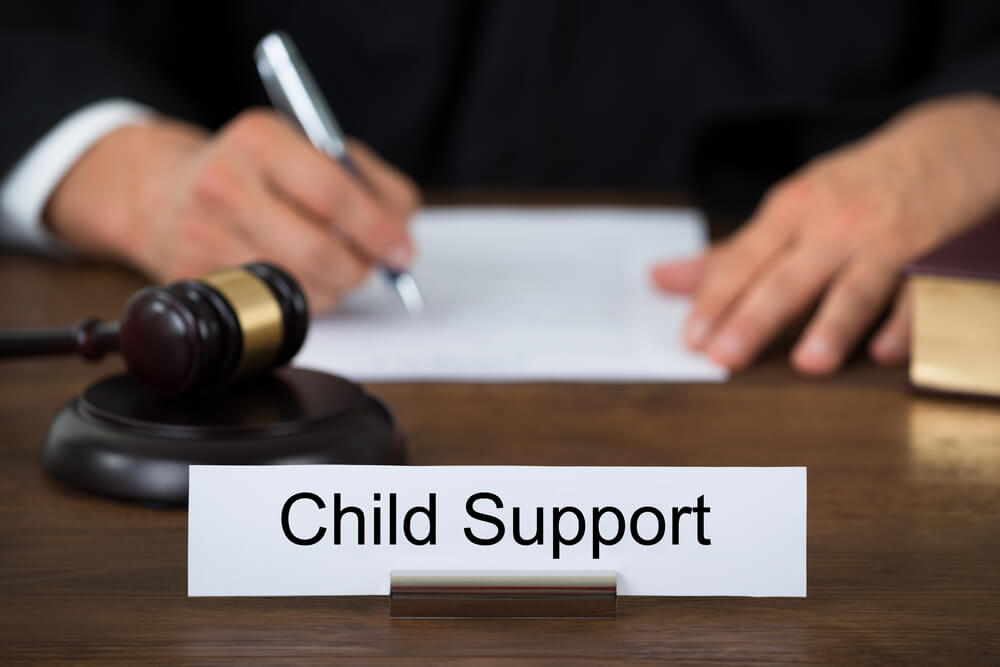 contact child support minnesota